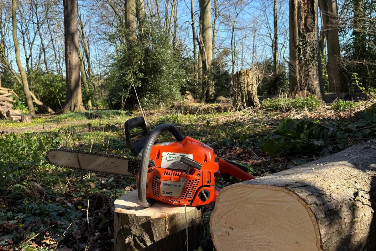 Chainsaw on a log in a forest setting