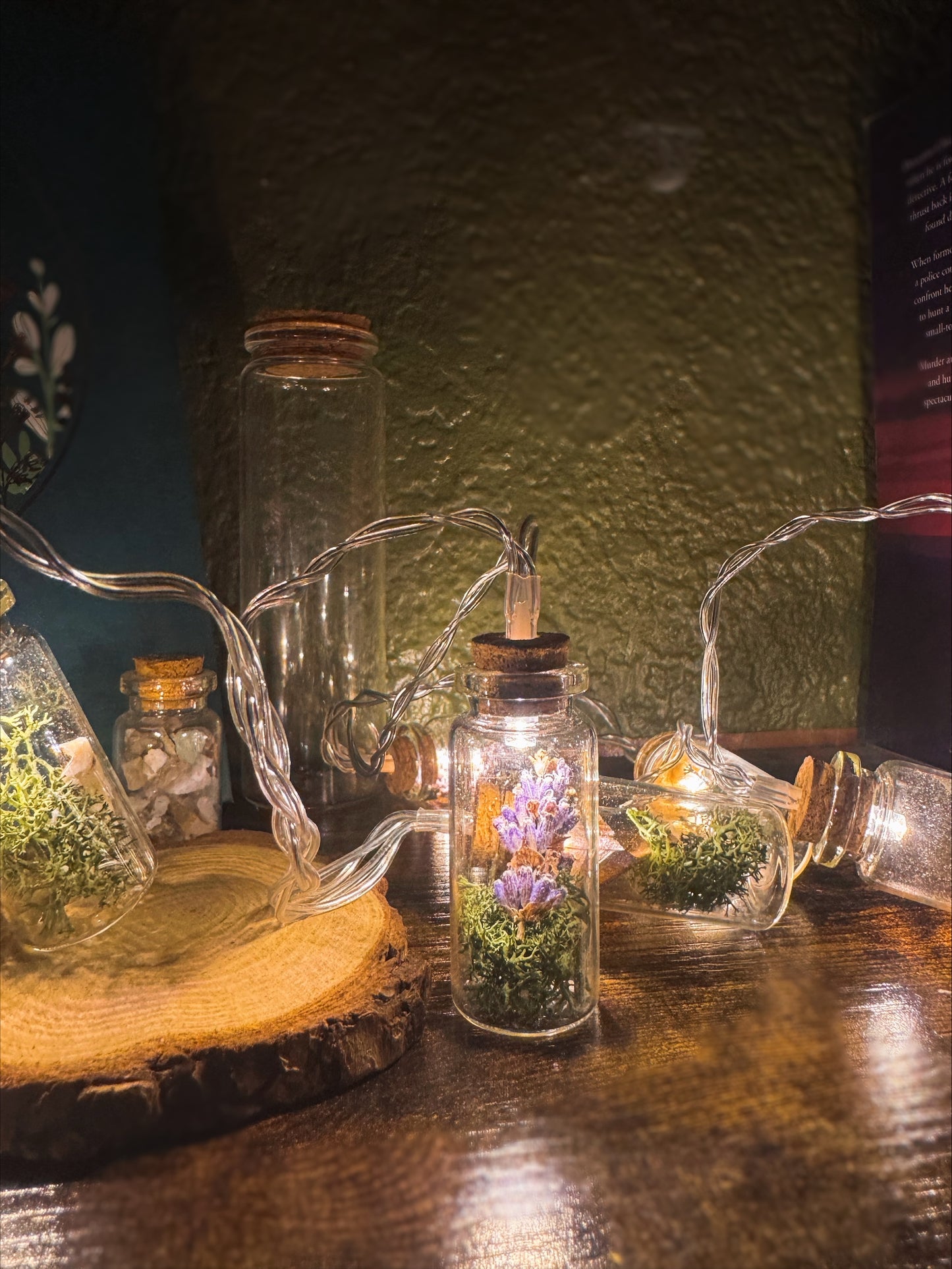 Curio Fairy Lights